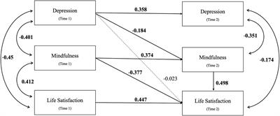 The mechanisms of nature-based therapy on depression, anxiety, stress, and life satisfaction: examining mindfulness in a two-wave mediation model